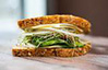 (SS13) Cheese Sandwich