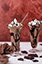 Chocolate Peanut Butter Milkshake