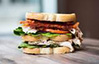 (SS17) Turkey Club